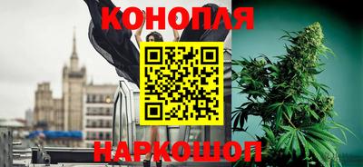 ешки Гай