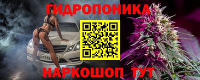 ешки Гай