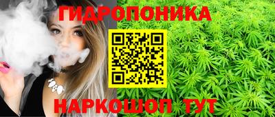 прущие грибы Беслан