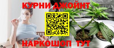 прущие грибы Беслан