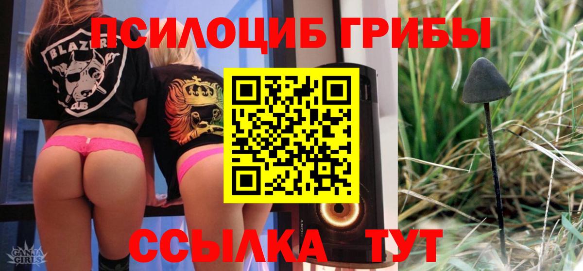 Галлюциногенные грибы Cubensis Рассказово