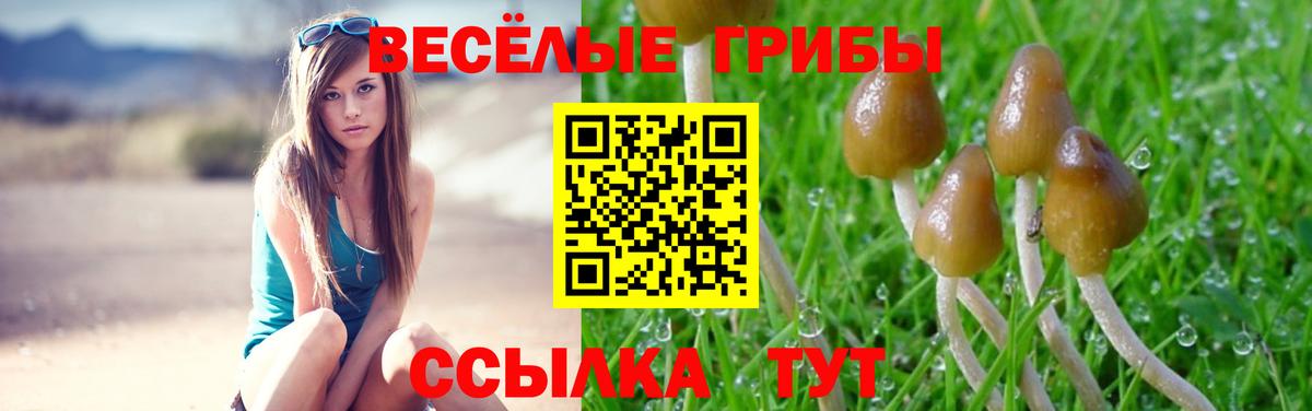 Псилоцибиновые грибы Magic Shrooms  Псилоцибиновые грибы MAGIC MUSHROOMS  Вход с VPN  Рассказово 