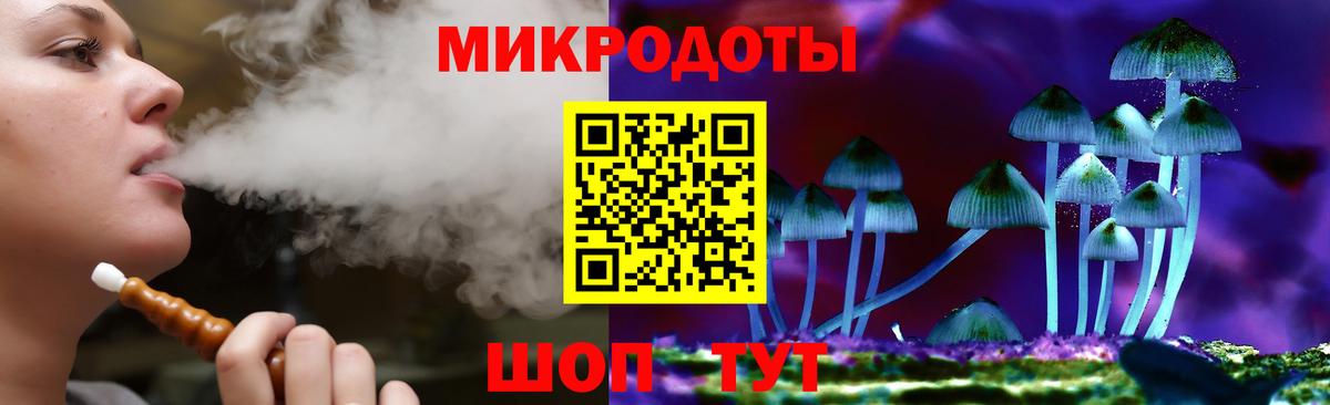 Псилоцибиновые грибы Psilocybe  Псилоцибиновые грибы MAGIC MUSHROOMS  Рассказово 